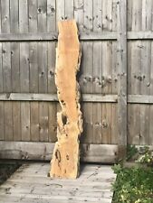 Yew wood slab for sale  ELLESMERE