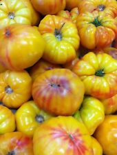 Striped german tomato for sale  Bothell
