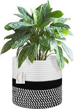 Natthswe plant basket for sale  GLASGOW