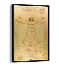 Leonardo Da Vinci, Vitruvian Man-Float efeito Canvas Wall Art Foto Impressão comprar usado  Enviando para Brazil
