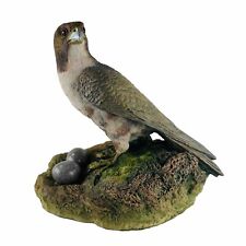 Falcon bird prey for sale  TELFORD