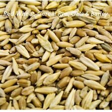 barley wheat oats for sale  Coyle