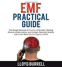 Emf practical guide d'occasion  Expédié en Belgium