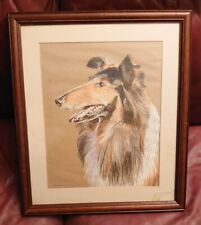 Beautiful rough collie for sale  BOLTON