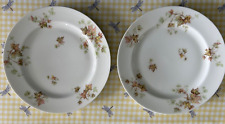 Haviland limoges autumn for sale  Shipping to Ireland