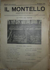Montello novembre 1918 usato  Roma