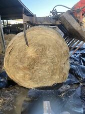 Silage haylage bales for sale  AXBRIDGE