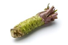 Wasabi viable seeds for sale  EXETER