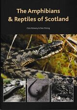 Amphibians reptiles scotland for sale  Allison Park