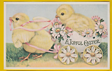 chicks chicks chicks for sale  Massillon