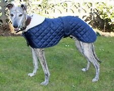 Factory second greyhound for sale  CREWKERNE