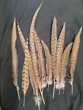 Cock pheasant feathers for sale  NEWCASTLE UPON TYNE