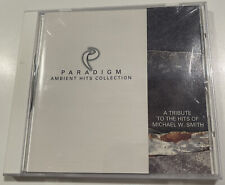 OP Michael W Smith 1996 “Paradigma - Coleção Ambient Hits” com 10 Hits Remixados! comprar usado  Enviando para Brazil
