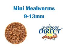 Live mini mealworms for sale  SHEFFIELD