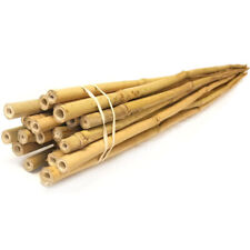Strong thick bamboo for sale  Shipping to Ireland