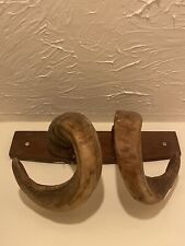 Rams horns for sale  PUDSEY