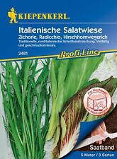 Italienische salatwiese zichor gebraucht kaufen  Aurich