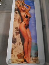 Poster door Neriah David 62 x 21 mancave wall garage for sale  Shipping to South Africa