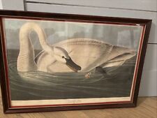 framed audubon prints for sale  Greensboro
