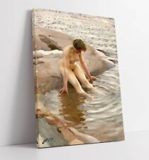 Anders zorn wet for sale  LONDONDERRY