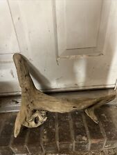 Large natural driftwood for sale  Nesbit