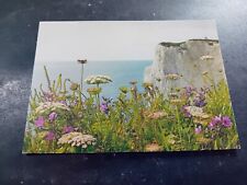 Postcard dorset studland for sale  DORCHESTER