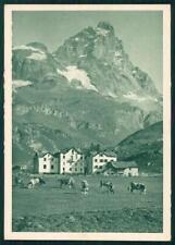 Aosta monte cervino usato  Italia