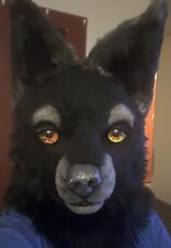 Black wolf fox for sale  Thornville