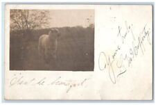 1906 male sheep for sale  Terre Haute