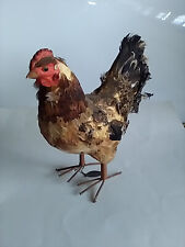 Vintage hen taxidermy for sale  Pueblo