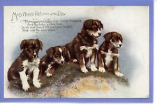 newfoundland puppies for sale  THETFORD