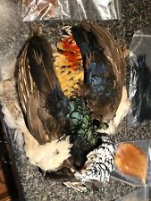 Rooster necks pheasant for sale  Parkersburg