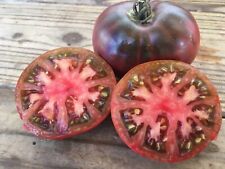 Cherokee purple tomato for sale  Julian