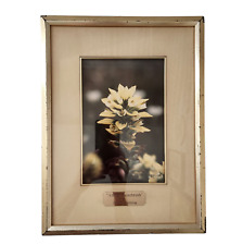 Floral photograph wall for sale  Frisco