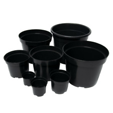 Black plastic plant for sale  MANCHESTER