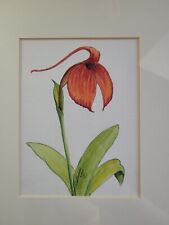 Used, Tropical Orchid Original Watercolour Framed Artwork Signed By Artist J.B for sale  Shipping to South Africa