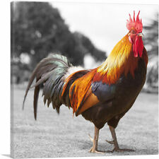Artcanvas farm rooster for sale  Niles