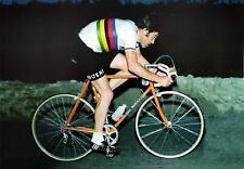 Eddy merckx colnago d'occasion  Argelès-sur-Mer