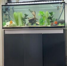 Fish tank cabinet for sale  PENRITH