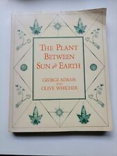 Plant sun earth for sale  Gresham
