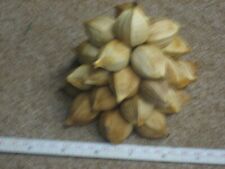 Hickory nut seasonal for sale  Plainsboro