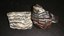 Old zebra agate for sale  Dyer