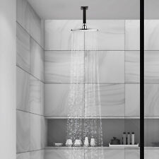 Ceiling mounted shower for sale  Chino