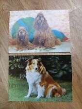 Postkarten wackelkarte hunde gebraucht kaufen  Eickel