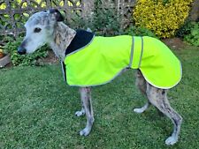 Factory second greyhound for sale  CREWKERNE