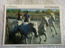 Cpm chevaux camarguais d'occasion  Calais