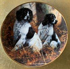 Dog springer spaniel for sale  Shipping to Ireland
