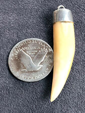 Pingente amuleto tribal raro autêntico antigo dente de leão/presa prata boné amuleto comprar usado  Enviando para Brazil