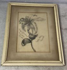 Used, Antique Christmas 1898 Original Charcoal Drawing Sketch Floral Flower Framed for sale  Shipping to South Africa