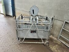Lamb weigh scales for sale  STAFFORD